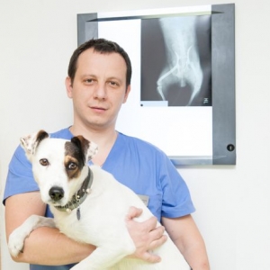 doctor veterinar stoica marius